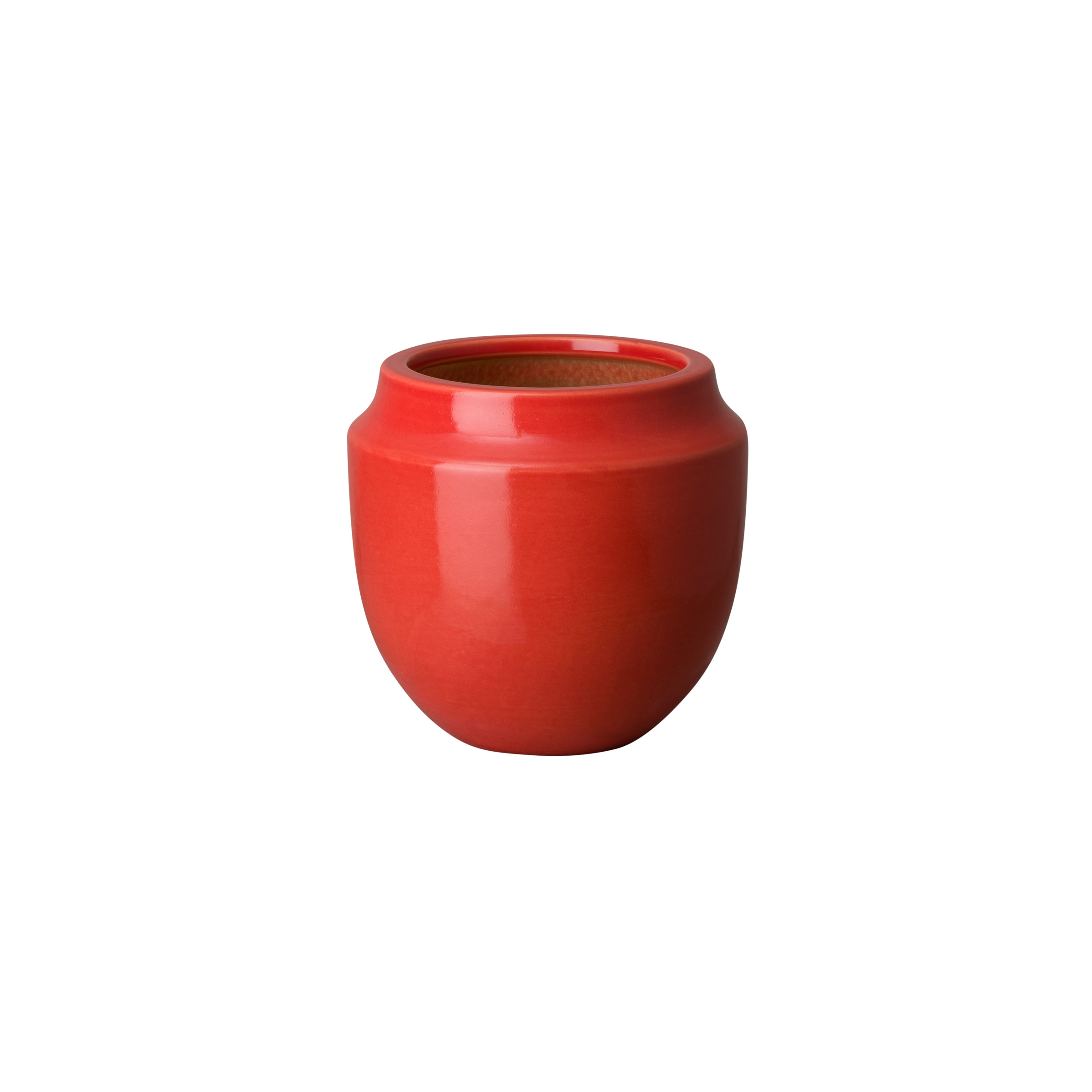 Bella Orchid Vase