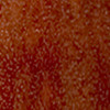 color - BROWN