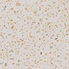 table_top - White Terrazzo